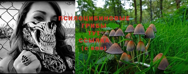 MESCALINE Баксан