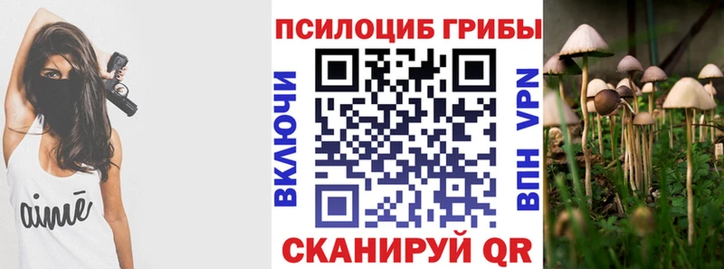 цены   Кировск  Псилоцибиновые грибы мицелий 